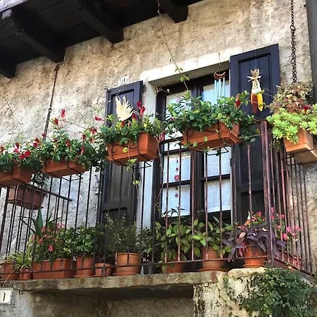 Ca' Del Borgo