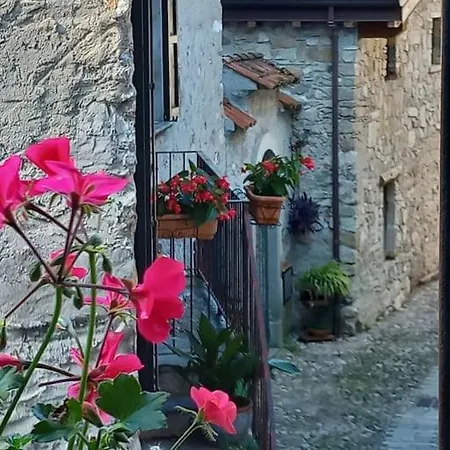 Ca' Del Borgo